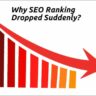 seo ranking dropped suddenly